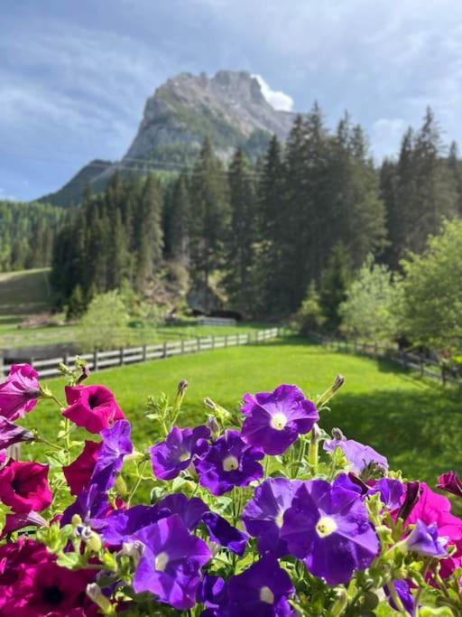 Sellaronda - Ciampac Experience Daire Alba di Canazei Dış mekan fotoğraf
