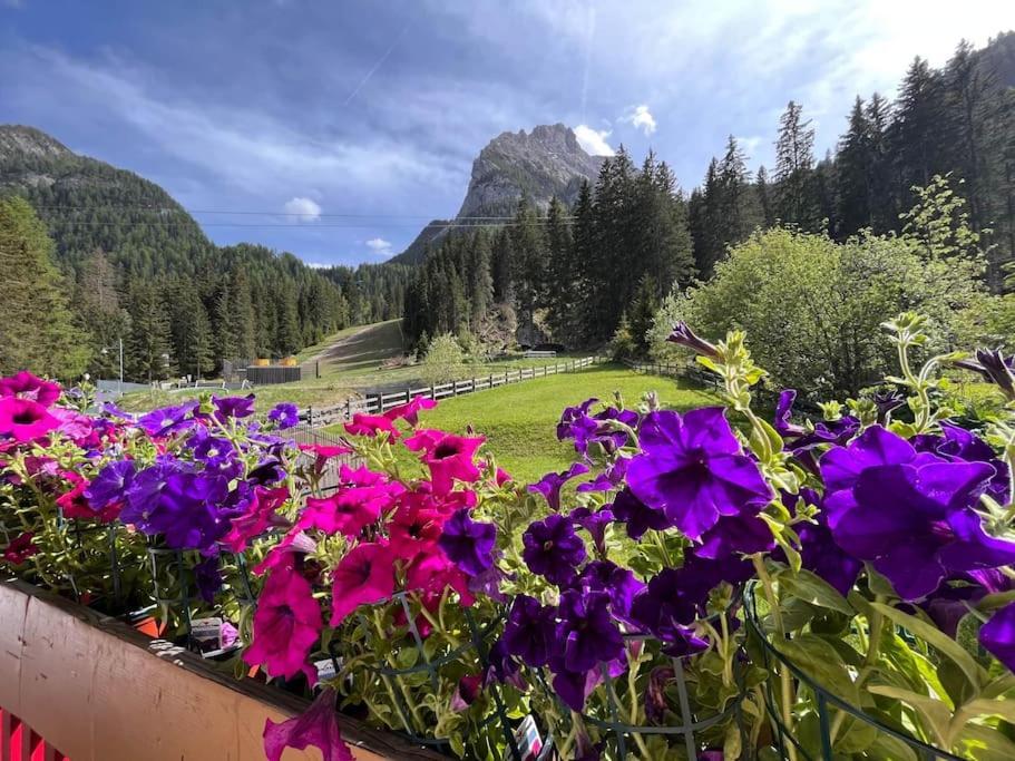 Sellaronda - Ciampac Experience Daire Alba di Canazei Dış mekan fotoğraf