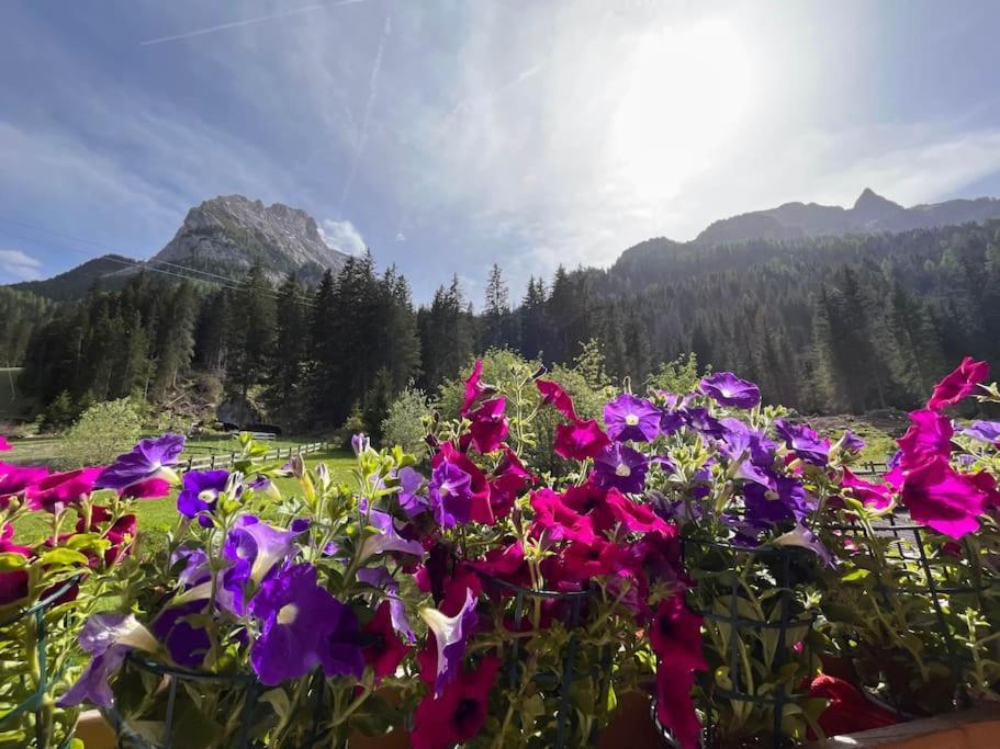 Sellaronda - Ciampac Experience Daire Alba di Canazei Dış mekan fotoğraf